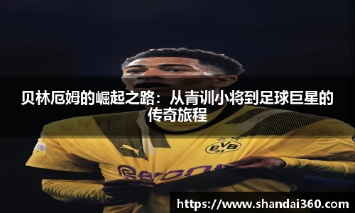 DG视讯官方网站